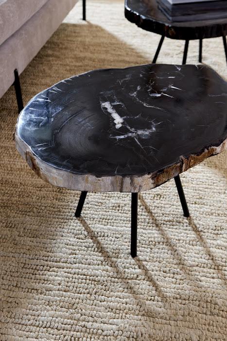 Phillips Collection Petrified Wood Coffee Table - Thumbnail 4