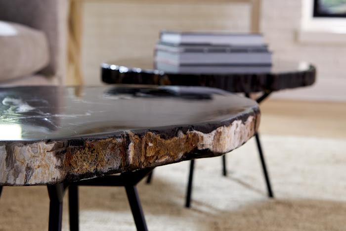 Phillips Collection Petrified Wood Coffee Table - Thumbnail 2