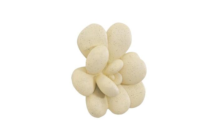 Oviferum Succulent Wall Art, Chartreuse — view 2