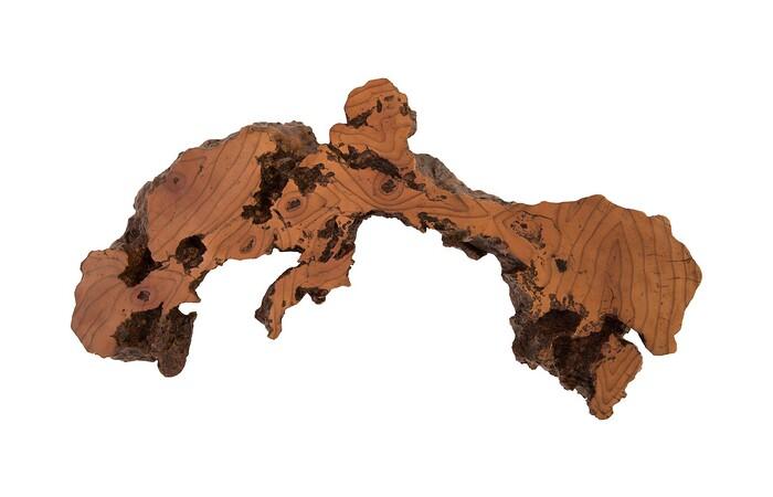 Burled Root Wall Art — Medium, Faux Bois Finish