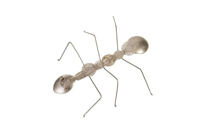 Spoon Ant — view 4