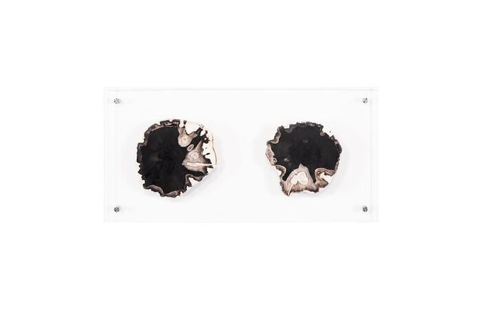 Floating Petrified Double Slice Wall Art — view 4