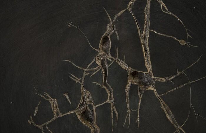Cast Petrified Wood Wall Tile, Resin — view 11