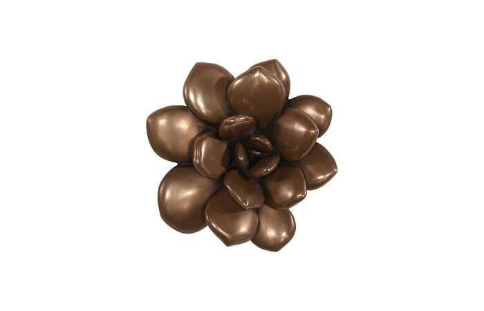 Laui Succulent Wall Art — One Size, Imperial Bronze