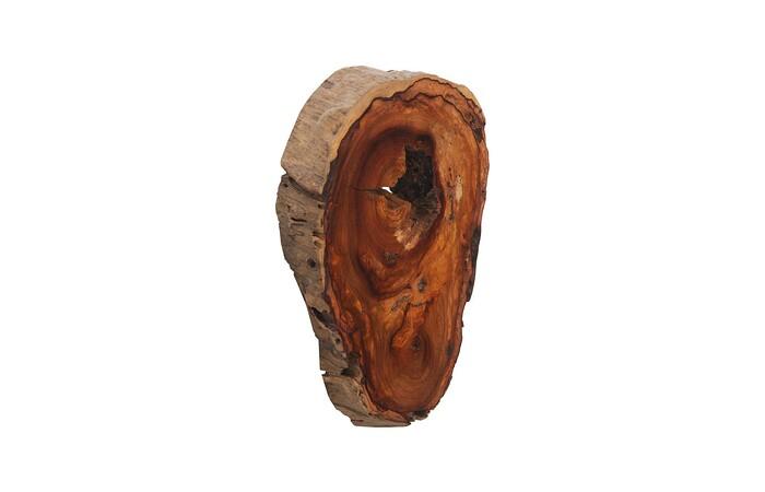 Pradoo Burled Wood Wall Decor — view 6