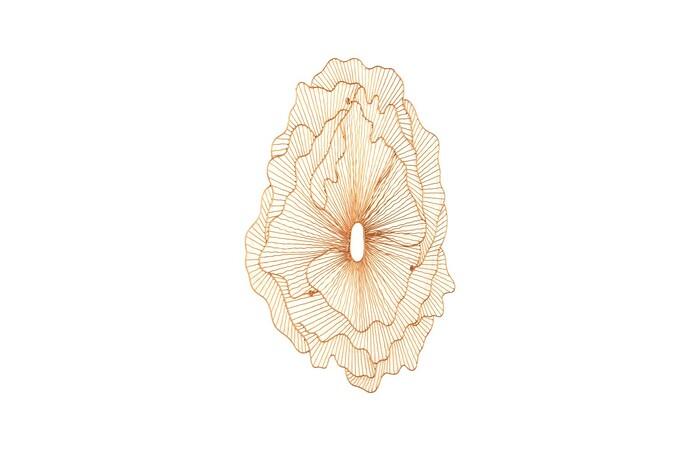 Poppy Flower Wall Art — view 7