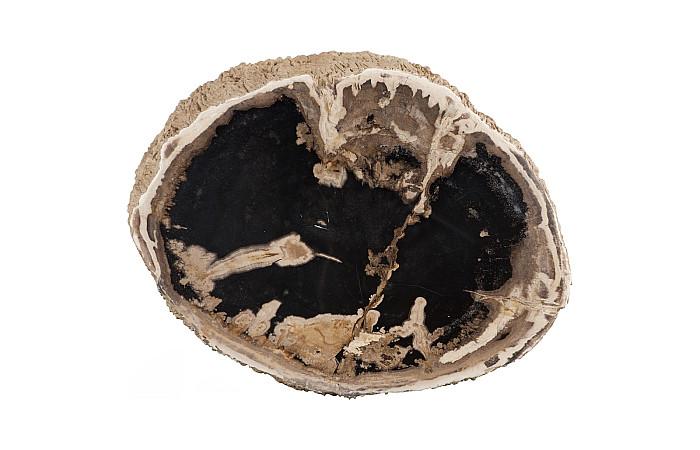 Chaka Petrified Side Table Coffee Tables Phillips Collection