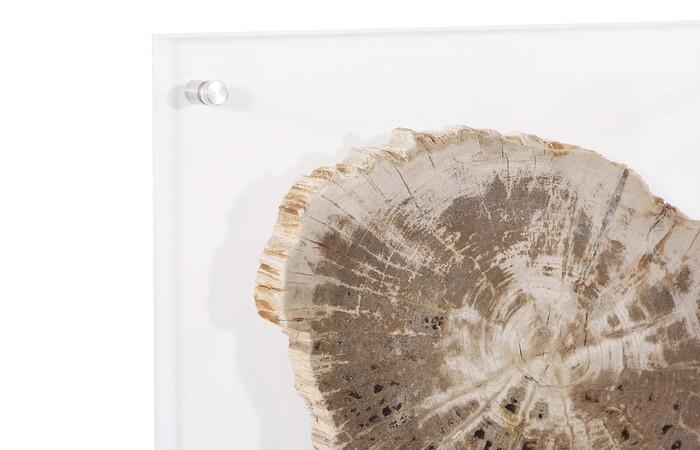 Floating Petrified Slice Wall Art, Assorted — view 3