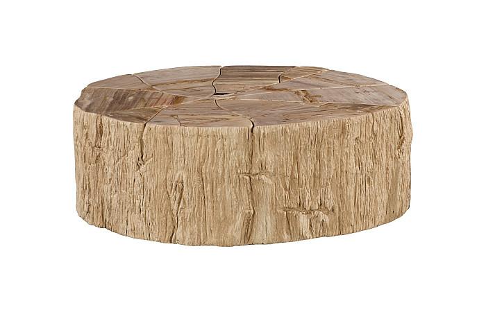 Converge Petrified Coffee Table