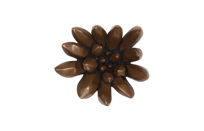 Compactum Succulent Wall Art — One Size, Imperial Bronze