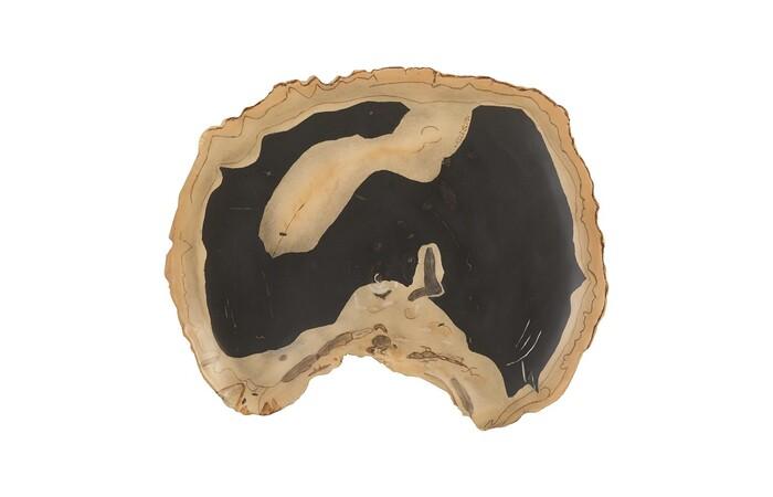 Cast Petrified Wood Wall Tile, Resin, Thin — One Size, As Shown