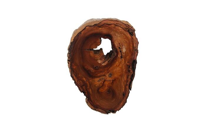 Pradoo Burled Wood Wall Decor — view 5