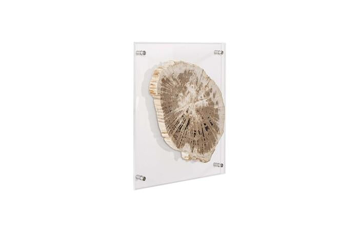 Floating Petrified Slice Wall Art, Assorted — view 2