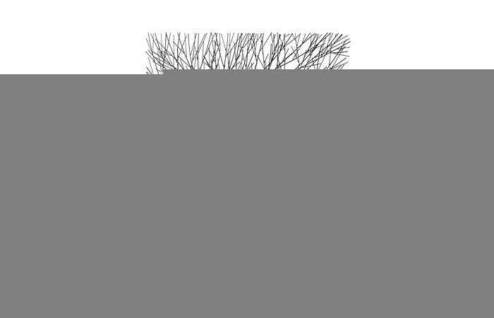 Wire Tree Wall Art, Rectangular, Metal, Black — view 4