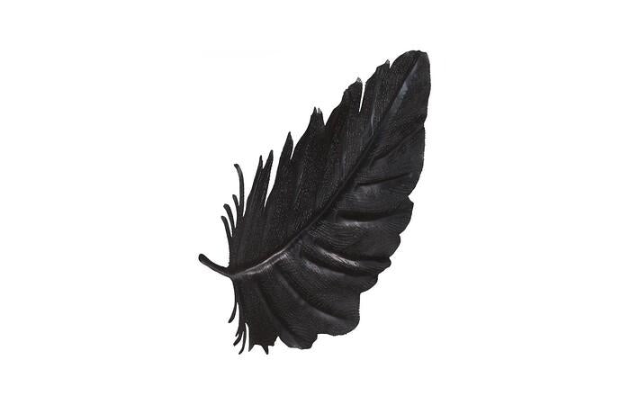 Feather Wall Decor, Metal — view 2