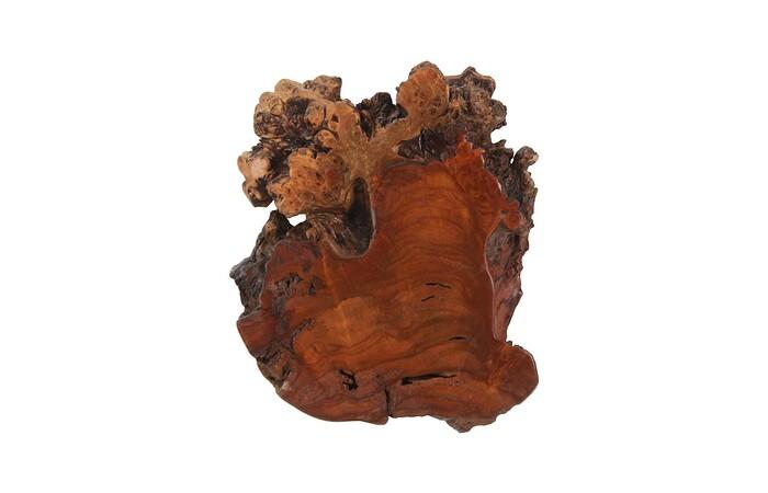 Pradoo Burled Wood Wall Decor — view 3