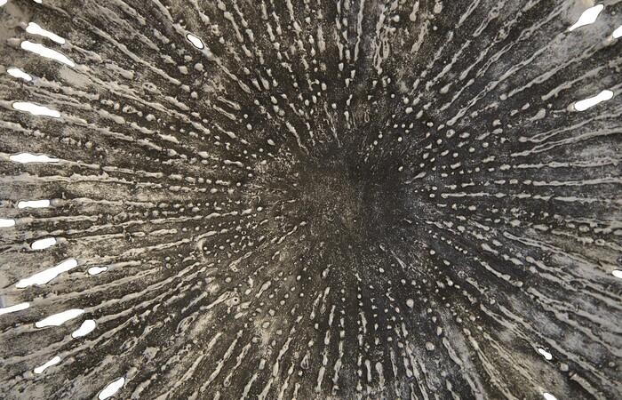 Lotus Wall Art — view 15