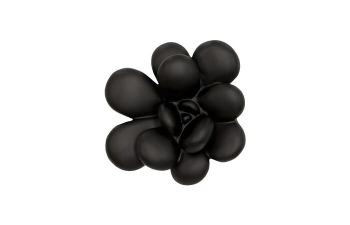 Oviferum Succulent Wall Art — One Size, Smooth Matte Black