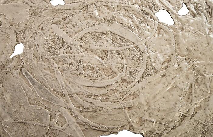 Molten Wall Disc Phillips Collection