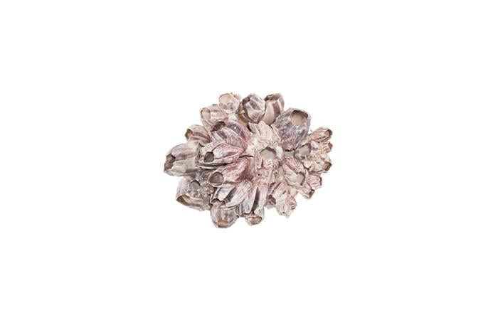 Barnacle Cluster Wall Art — MD, As Shown