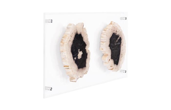 Floating Petrified Double Slice Wall Art — view 2