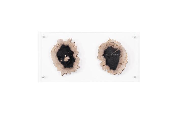 Floating Petrified Double Slice Wall Art — One Size, As Shown