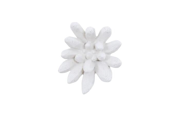 Compactum Succulent Wall Art — One Size, White Stone