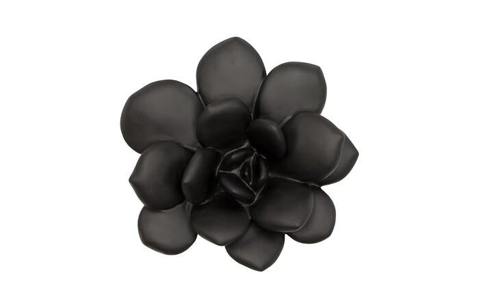 Laui Succulent Wall Art — One Size, Smooth Matte Black