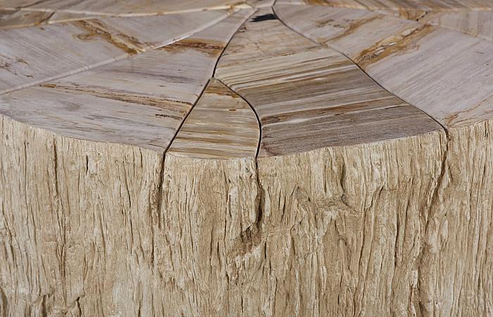 Converge Petrified Coffee Table