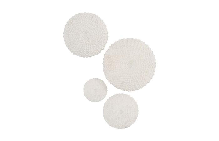 Sea Urchin Wall Art, Set Of 4 — One Size, As Shown