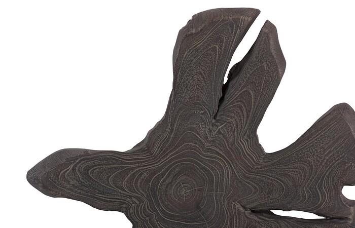 Freeform Teak Wall Slice — view 18