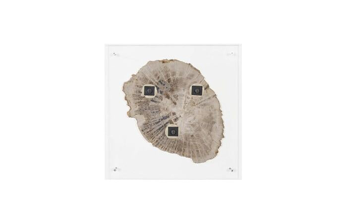 Floating Petrified Slice Wall Art, Assorted — view 4