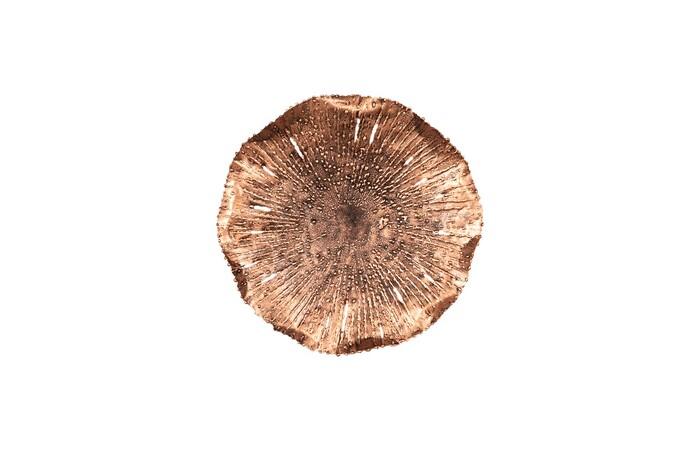 Lotus Wall Art — SM, Copper/Black