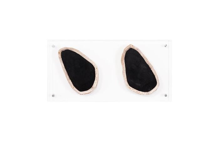 Floating Petrified Double Slice Wall Art — view 5