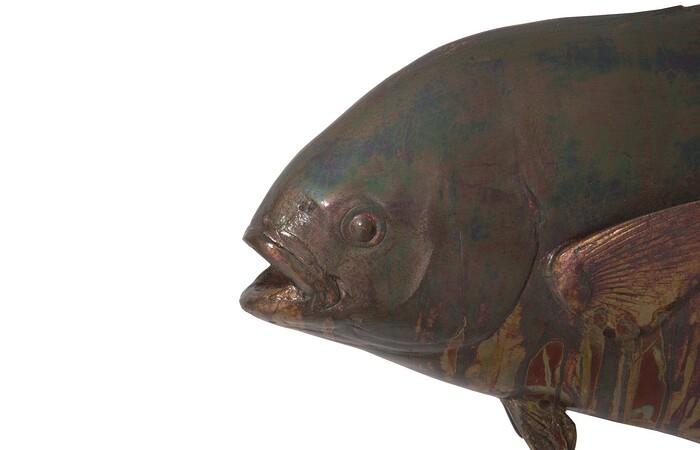 Permit Fish Wall Sculpture, Resin — view 4