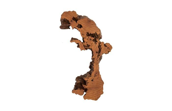 Burled Root Wall Art — view 21