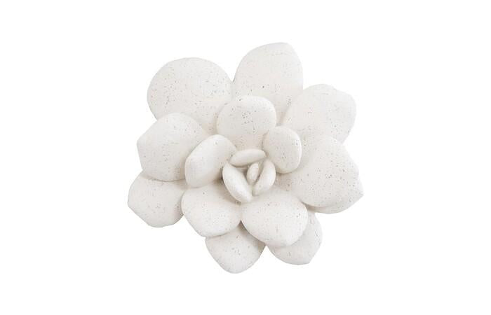 Laui Succulent Wall Art — One Size, White Stone