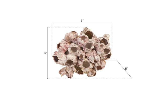 Barnacle Cluster Wall Art — view 9