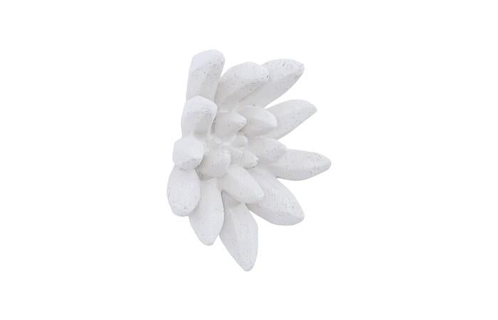 Compactum Succulent Wall Art — view 6