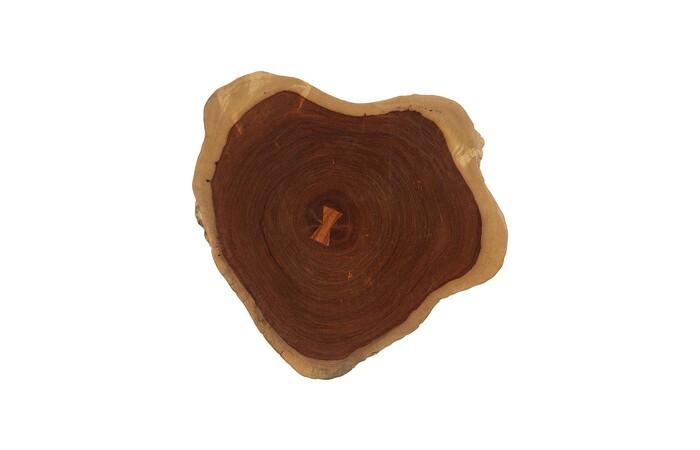 Pradoo Burled Wood Wall Decor — One Size, As Shown