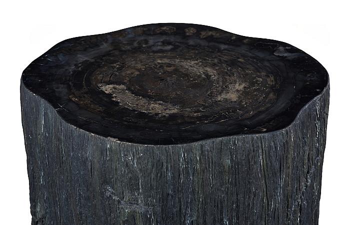 Chaka Petrified Side Table Coffee Tables Phillips Collection