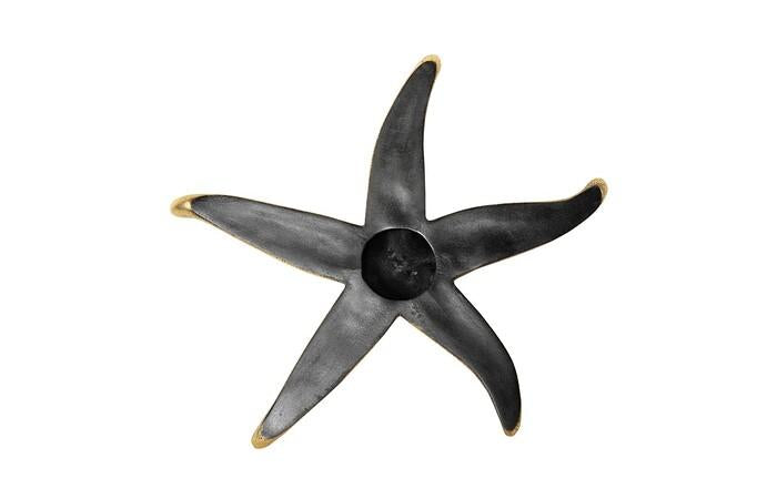 Starfish, Set of 4 — view 17