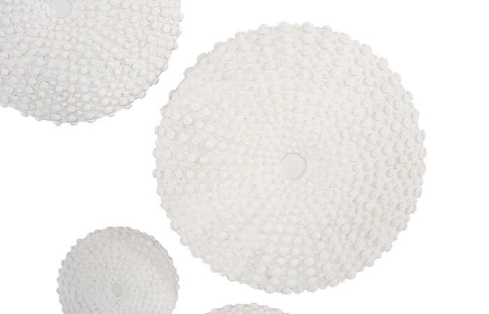 Sea Urchin Wall Art, Set Of 4 — view 3