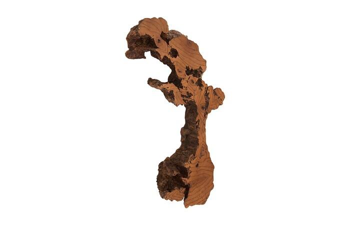 Burled Root Wall Art — view 17