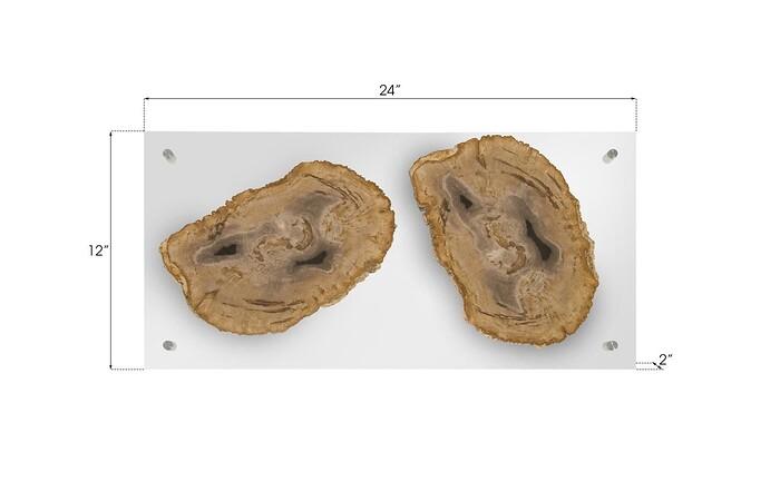 Floating Petrified Double Slice Wall Art — view 7