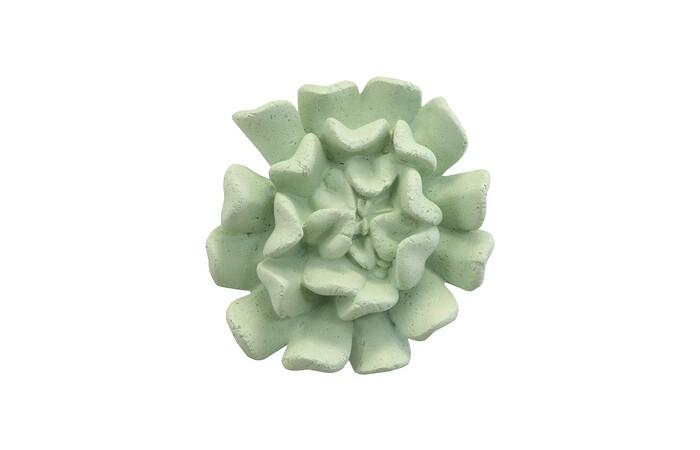 Topsy Turvy Succulent Wall Art, Jade — One Size, As Shown
