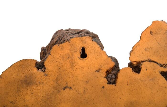 Burled Root Wall Art — view 23
