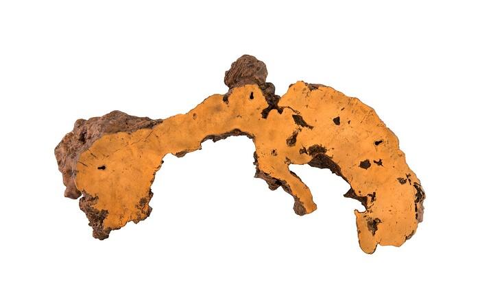 Burled Root Wall Art — view 22