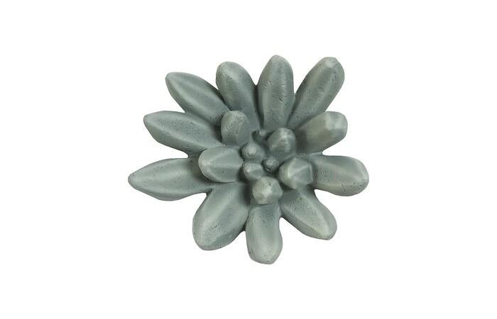 Compactum Succulent Wall Art, Forest — One Size, As Shown