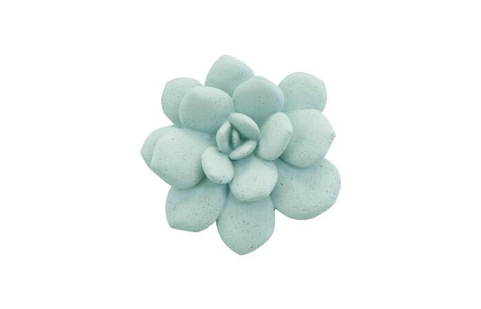 Laui Succulent Wall Art, Sage — One Size, As Shown